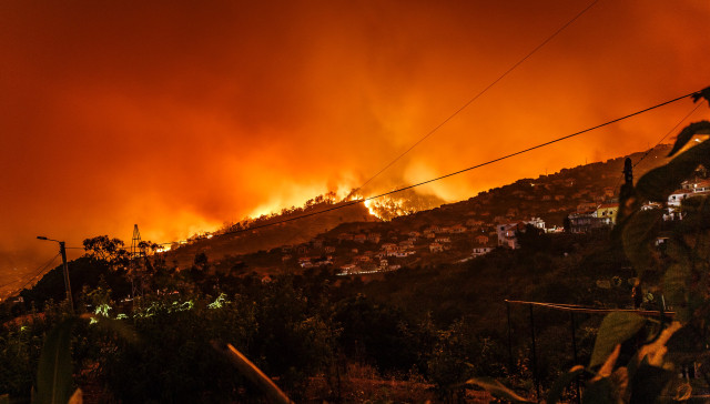 Wild fire